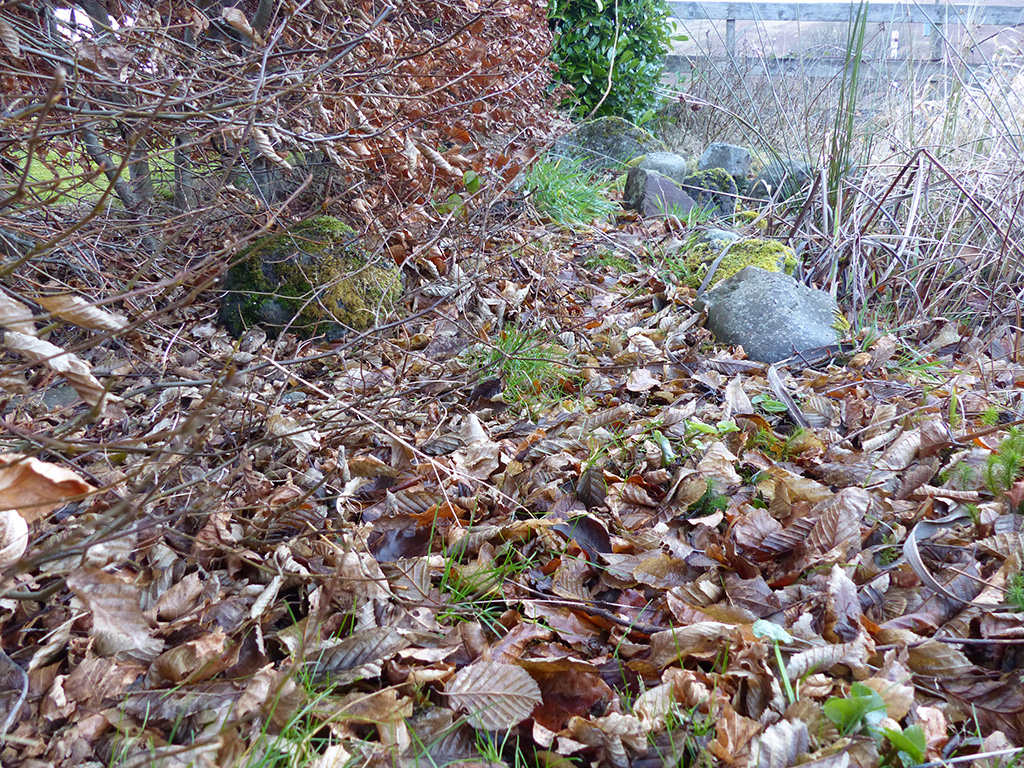 Leave Leaf Litter